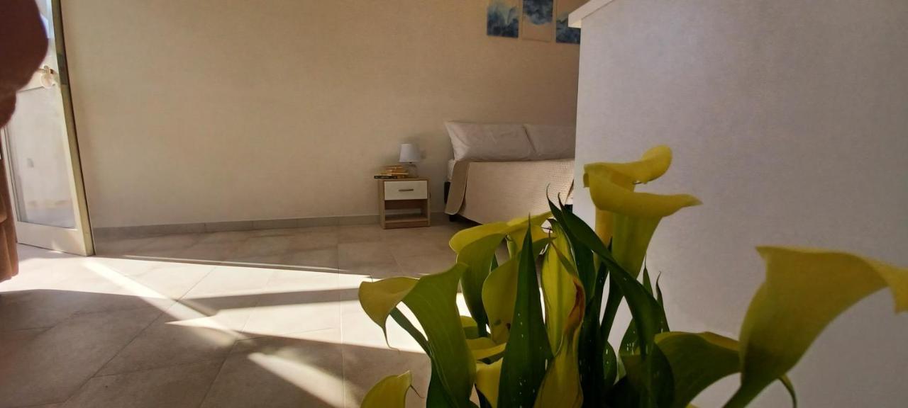 B&B Dimorangel Пескичи Экстерьер фото